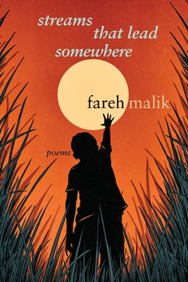 Streams That Lead Somewhere by Malik, Fareh