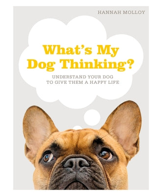 What's My Dog Thinking?: Understand Your Dog to Give Them a Happy Life by Molloy, Hannah