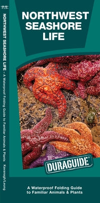 Northwest Seashore Life: A Waterproof Folding Guide to Familiar Animals & Plants by Kavanagh, James