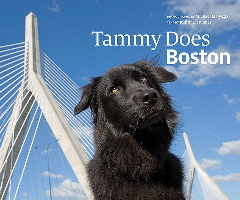 Tammy Does Boston by Malyszko, Michael