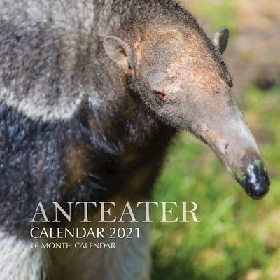 Anteater Calendar 2021: 16 Month Calendar by Print, Golden