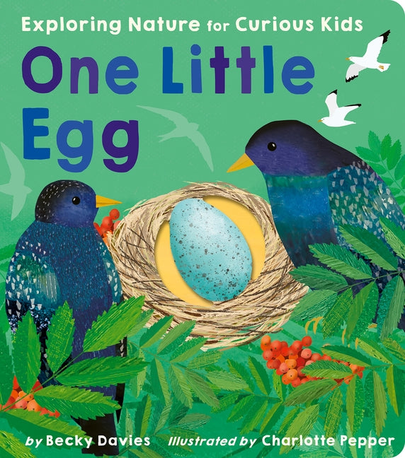 One Little Egg: Exploring Nature for Curious Kids by Davies, Becky
