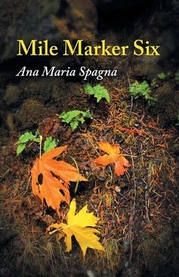 Mile Marker Six by Spagna, Ana Maria