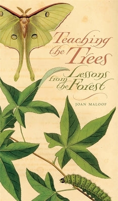 Teaching the Trees: Lessons from the Forest by Maloof, Joan