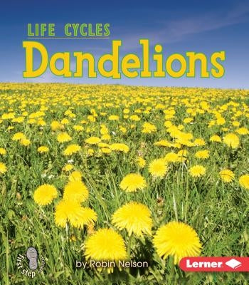 Dandelions by Nelson, Robin