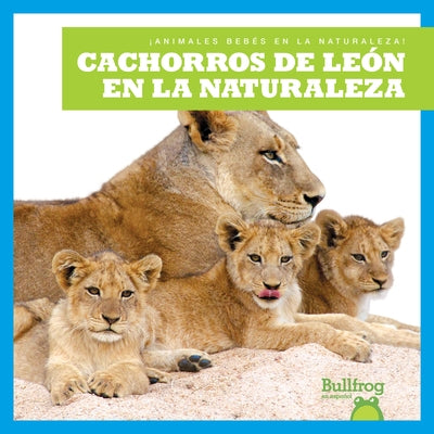 Cachorros de León En La Naturaleza (Lion Cubs in the Wild) by Brandle, Marie