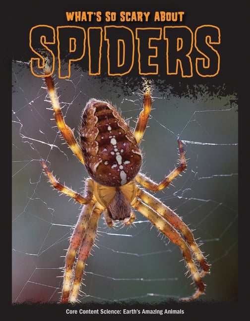 What's So Scary about Spiders? by Mattern, Joanne