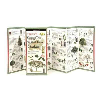Sibley's Trees of Cities and Towns of the Southeast by Sibley, David