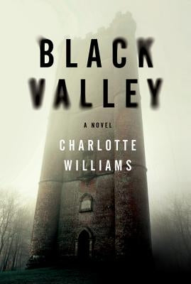 Black Valley by Williams, Charlotte