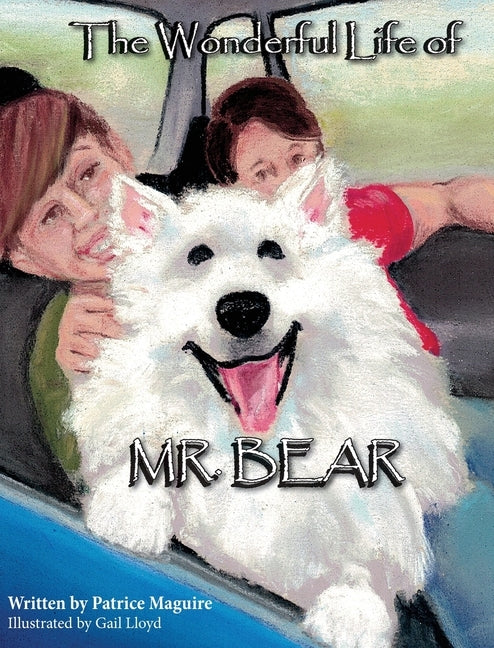 The Wonderful Life of Mr. Bear by Maguire, Patrice