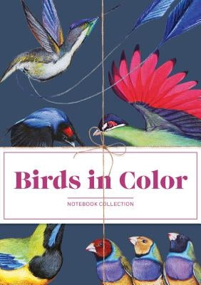 Birds in Color Notebook Collection by Kim, Jane