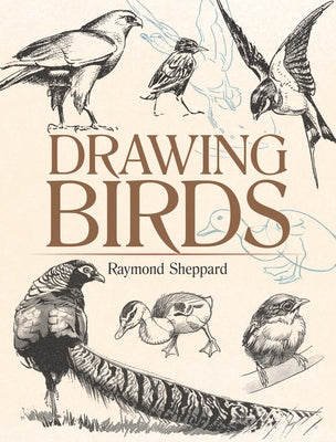 Drawing Birds by Sheppard, Raymond