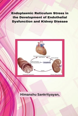 Endoplasmic Reticulum Stress in the Development of Endothelial Dysfunction and Kidney Disease by Sankrityayan, Himanshu