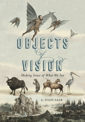Objects of Vision: Making Sense of What We See by Saab, A. Joan