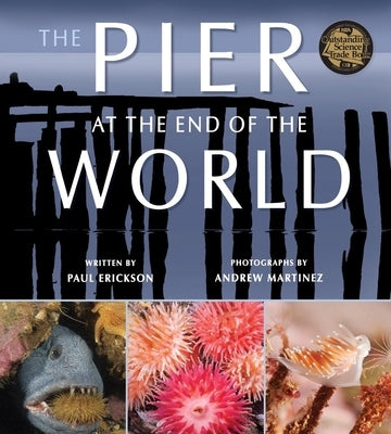 The Pier at the End of the World by Erickson, Paul