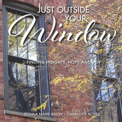 Just Outside Your Window: Finding Insights, Hope and Joy by Bailey, Donna Marie