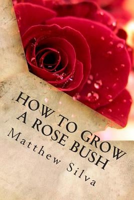 How To Grow A Rose Bush by Silva, Matthew