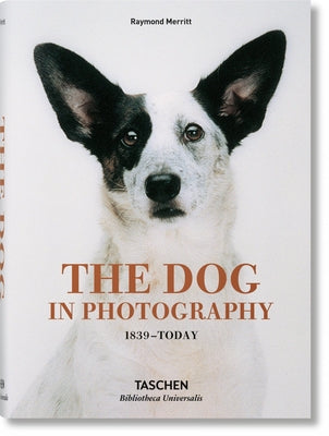 The Dog in Photography 1839-Today by Merritt, Raymond