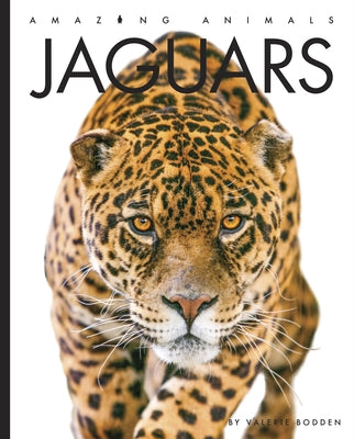 Jaguars by Bodden, Valerie