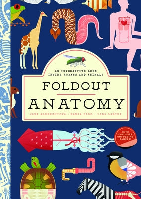 Foldout Anatomy: An Interactive Look Inside Humans and Animals by Albrechtov&#225;, Jana