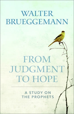 From Judgement to Hope by Brueggemann, Walter