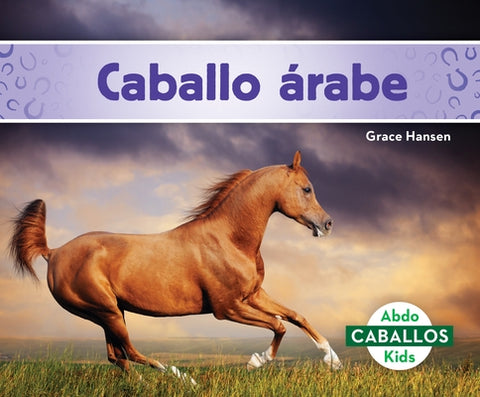 Caballo Árabe (Arabian Horses) by Hansen, Grace