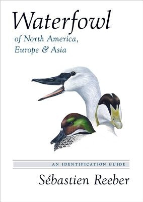 Waterfowl of North America, Europe, and Asia: An Identification Guide by Reeber, S&#233;bastien