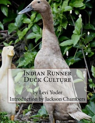 Indian Runner Duck Culture by Chambers, Jackson