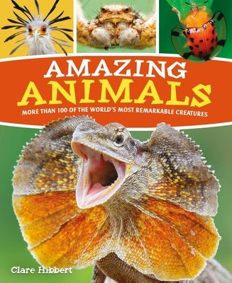 Amazing Animals: More Than 100 of the World's Most Remarkable Creatures by Hibbert, Claire