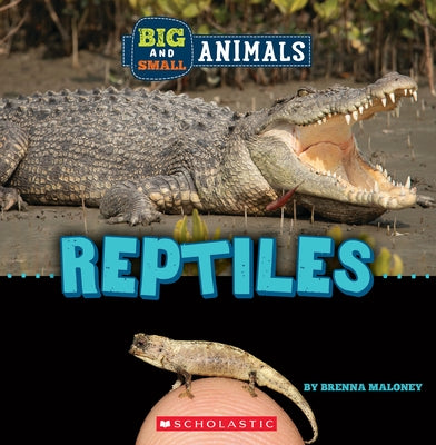 Big and Small: Reptiles (Wild World) by Maloney, Brenna