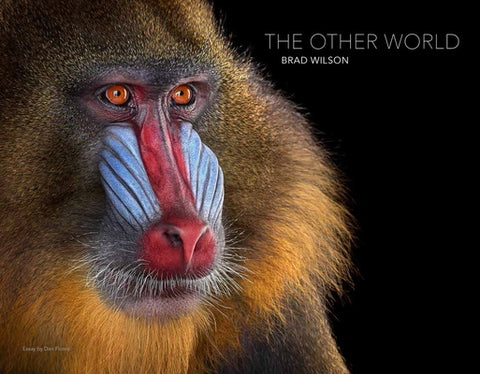 Brad Wilson: The Other World: Animal Portraits by Wilson, Brad