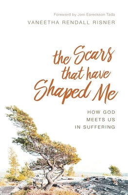 The Scars That Have Shaped Me: How God Meets Us in Suffering by Risner, Vaneetha Rendall