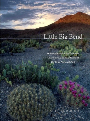 Little Big Bend: Common, Uncommon, and Rare Plants of Big Bend National Park by Morey, Roy