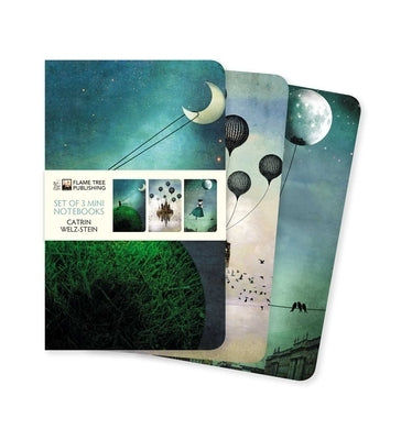 Catrin Welz-Stein Set of 3 Mini Notebooks by Flame Tree Studio