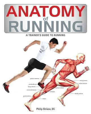 Anatomy of Running by Striano, Philip