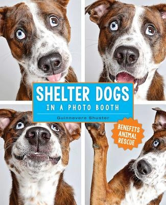 Shelter Dogs in a Photo Booth by Shuster, Guinnevere