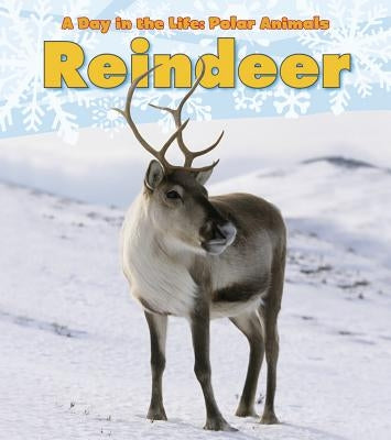 Reindeer by Marsico, Katie