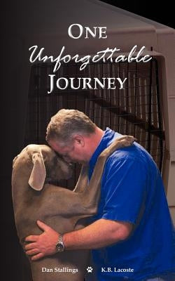 One Unforgettable Journey by Stallings, Dan