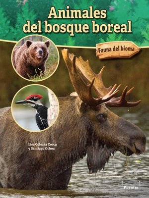 Animales del Bosque Boreal: Boreal Forest Animals by Cocca, Lisa Colozza