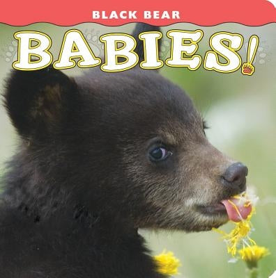 Black Bear Babies! by Jones, Donald M.