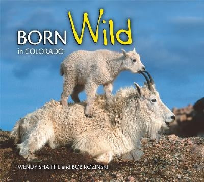 Born Wild in Colorado by Shattil, Wendy