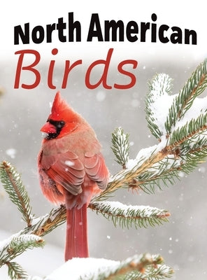 North American Birds by Happiness, Lasting