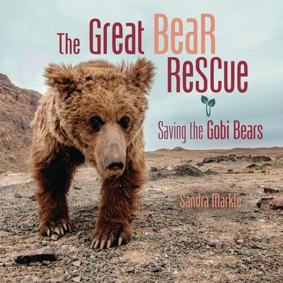 The Great Bear Rescue: Saving the Gobi Bears by Markle, Sandra