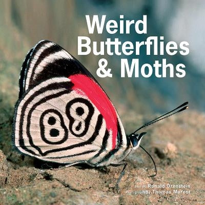 Weird Butterflies and Moths by Orenstein, Ronald