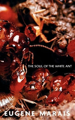 The Soul of the White Ant by Marais, Eugene N.