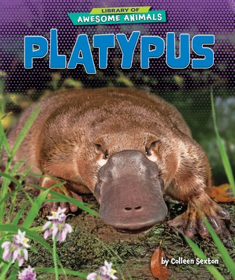 Platypus by Sexton, Colleen