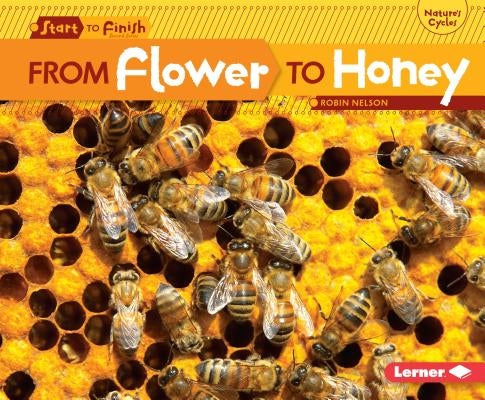 From Flower to Honey by Nelson, Robin