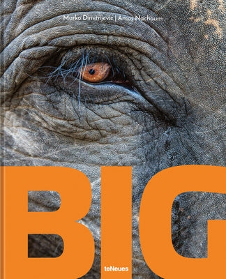 Big: A Photographic Album of the World's Largest Animals by Nachoum, Amos