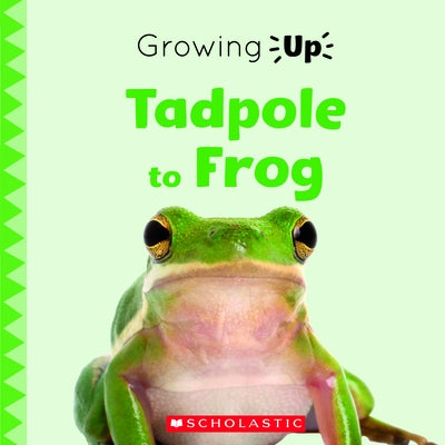 Tadpole to Frog (Growing Up) by Maloney, Brenna