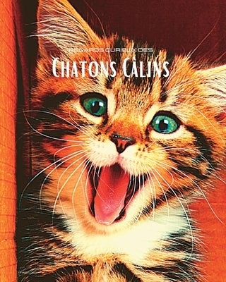 Regards curieux des Chatons Câlins: Album photo en couleur avec de magnifiques chatons. by Clayderson, Hayden